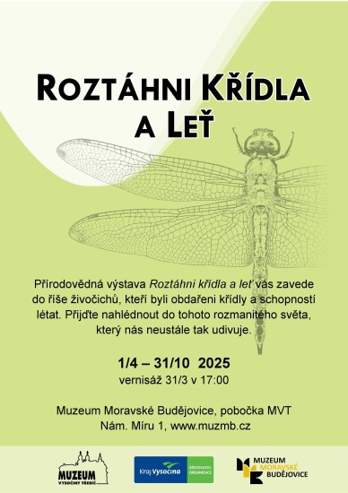 Roztáhni křídla a leť Roztáhni křídla a leť