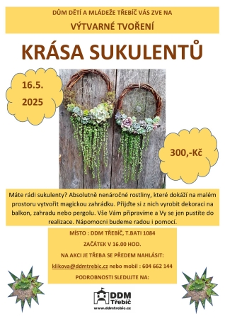 Krása sukulentů