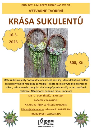 Krása sukulentů Krása sukulentů
