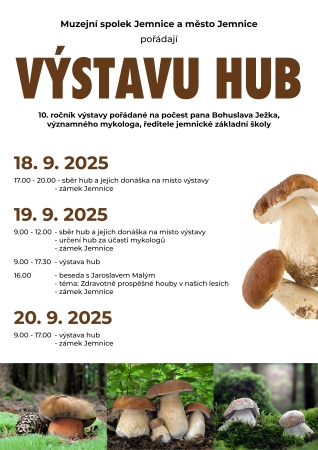 Výstava hub
