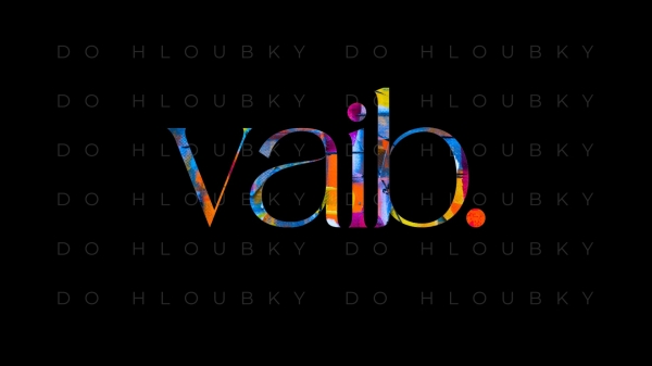 VAIB 2025 / DO HLOUBKY VAIB 2025 / DO HLOUBKY