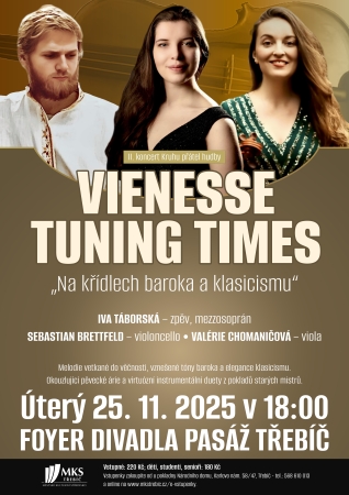 VIENESSE TUNING TIMES