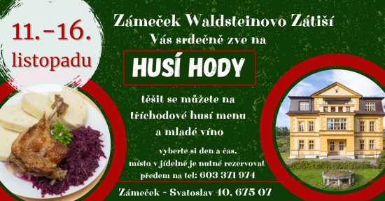 Husí hody