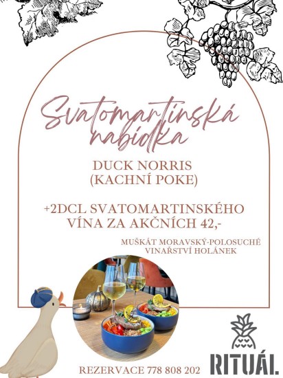 Svatomartinská nabídka