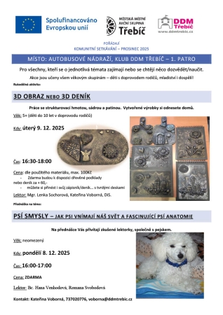 Psí smysly - jak psi vnímají náš svět a fascinující psí anatomie