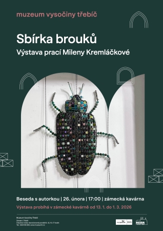 Sbírka brouků