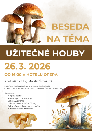 Beseda na téma Užitečné houby