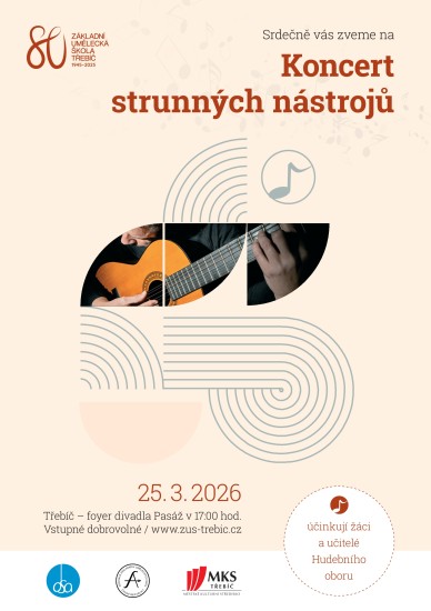 Koncert strunných nástrojů