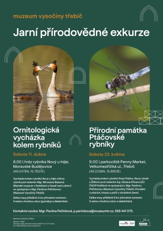 Ornitologická vycházka kolem rybníků