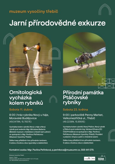 Ornitologická vycházka kolem rybníků