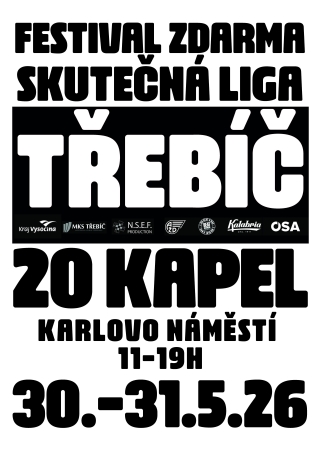 Skutečná liga